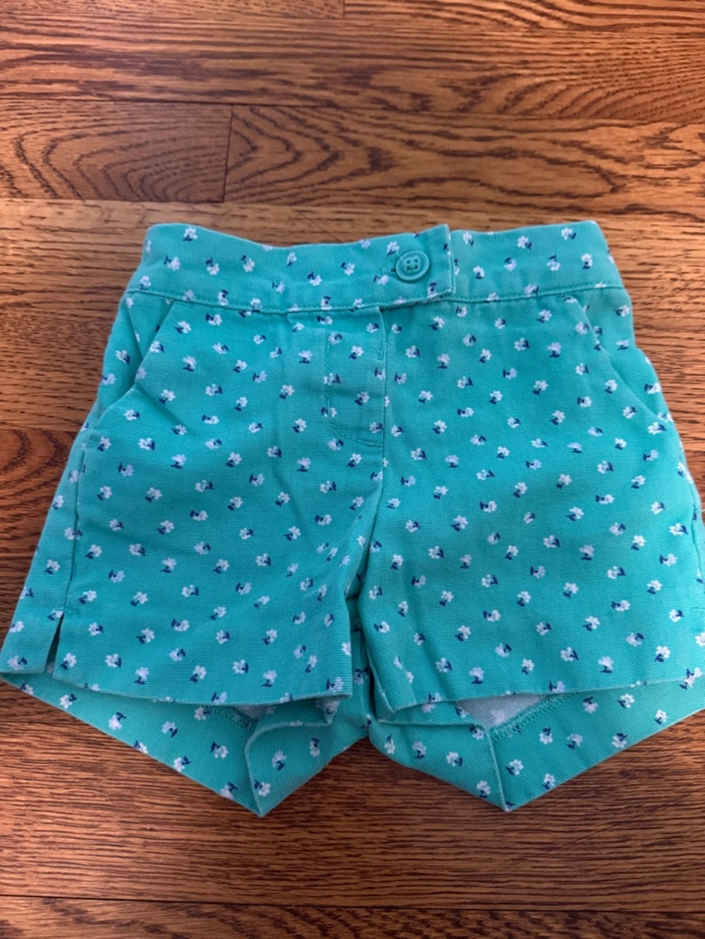Janie and Jack Mint Green Floral Baby Shorts